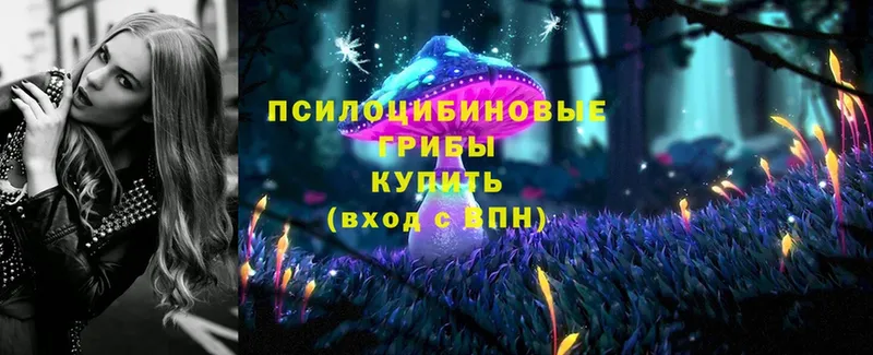 Галлюциногенные грибы Magic Shrooms  хочу   Норильск 